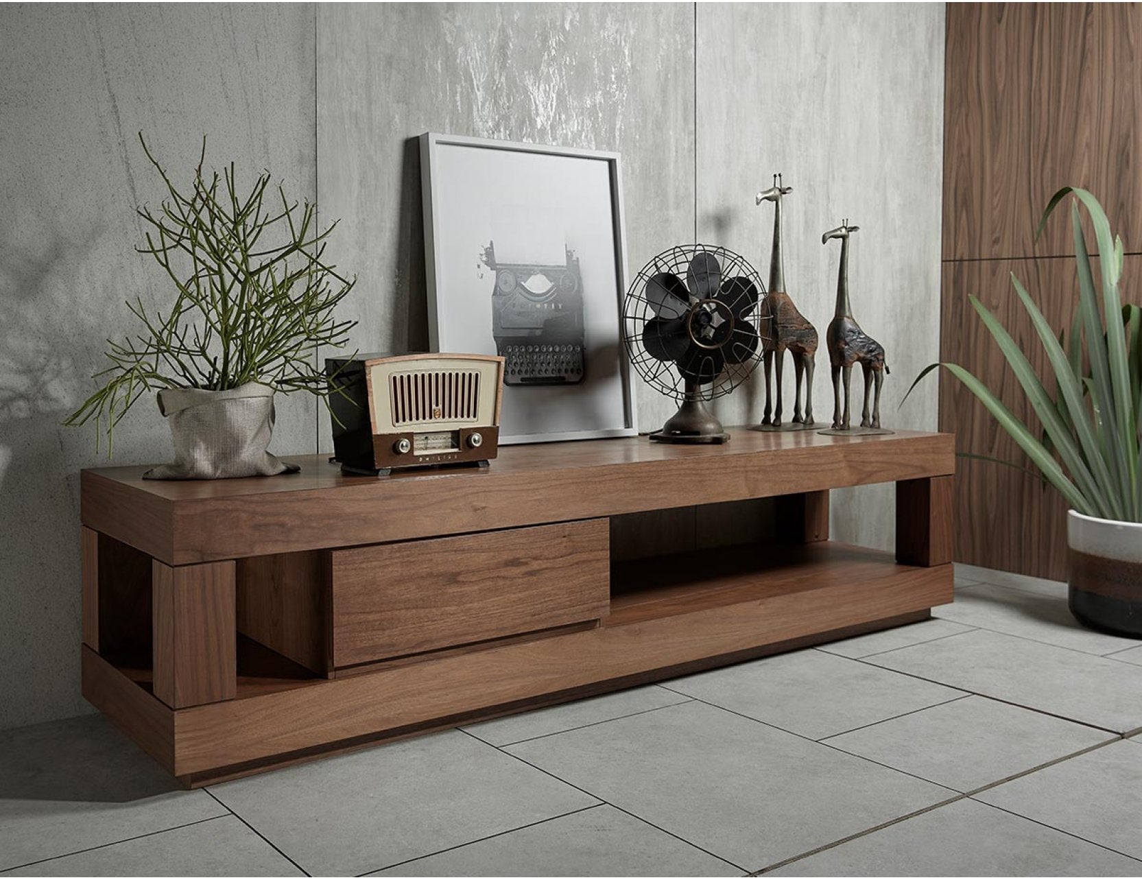 Max TV console styled in a modern living space