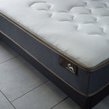Spinal mattress shown in a modern bedroom