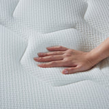SPINAL SUPREME Sanitized® Antimicrobial Latex Comfort Layer Pocketed Coil Support Mattress